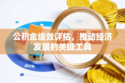 金平公积金绩效评估，推动经济发展的关键工具