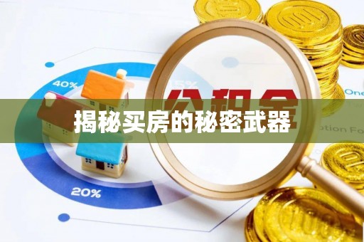 金平揭秘买房的秘密武器