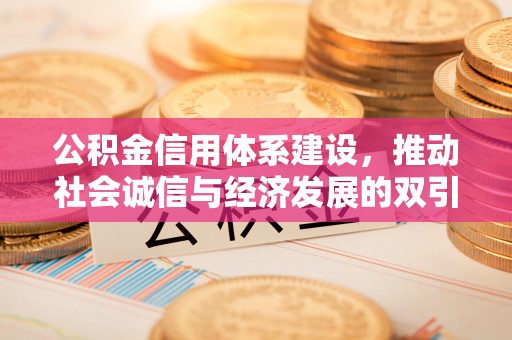 金平公积金信用体系建设，推动社会诚信与经济发展的双引擎