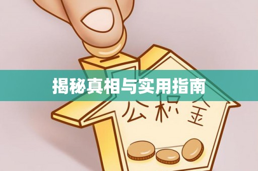 金平揭秘真相与实用指南