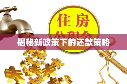 金平揭秘新政策下的还款策略
