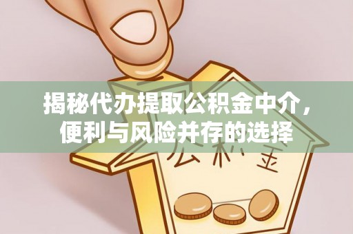 金平揭秘代办提取公积金中介，便利与风险并存的选择