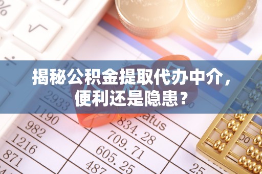 金平揭秘公积金提取代办中介，便利还是隐患？