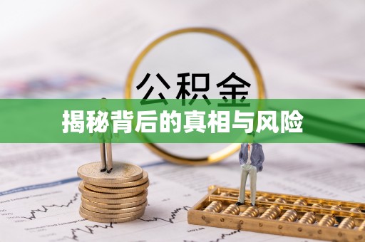 金平揭秘背后的真相与风险