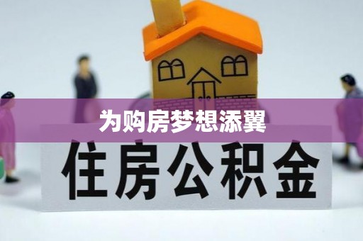 金平为购房梦想添翼