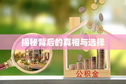 金平揭秘背后的真相与选择