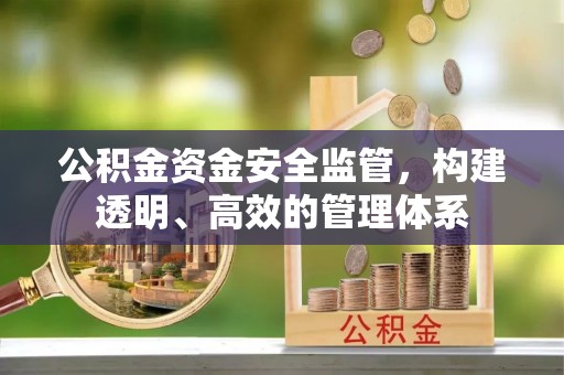 金平公积金资金安全监管，构建透明、高效的管理体系