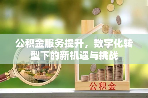 金平公积金服务提升，数字化转型下的新机遇与挑战