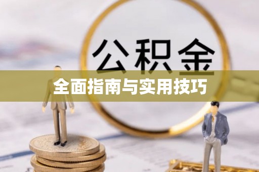 金平全面指南与实用技巧