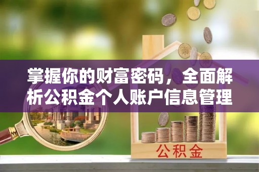 金平掌握你的财富密码，全面解析公积金个人账户信息管理与优化