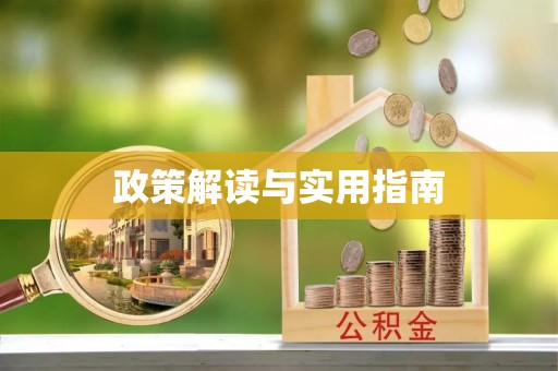 金平政策解读与实用指南