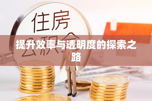 金平提升效率与透明度的探索之路