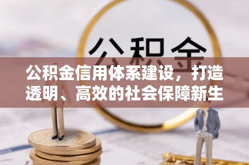 金平公积金信用体系建设，打造透明、高效的社会保障新生态