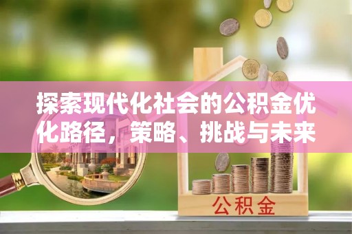 金平探索现代化社会的公积金优化路径，策略、挑战与未来展望