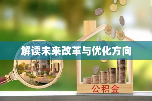 金平解读未来改革与优化方向
