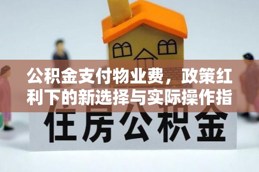 金平公积金支付物业费，政策红利下的新选择与实际操作指南