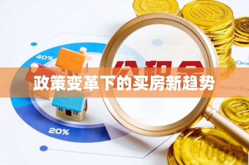 金平政策变革下的买房新趋势