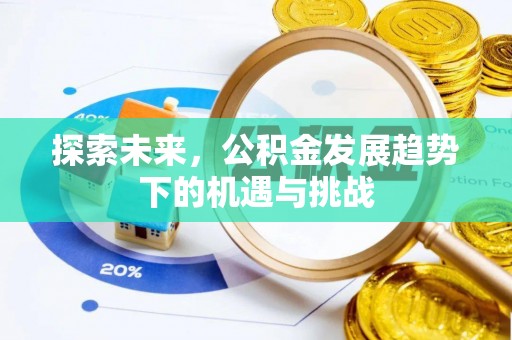 金平探索未来，公积金发展趋势下的机遇与挑战