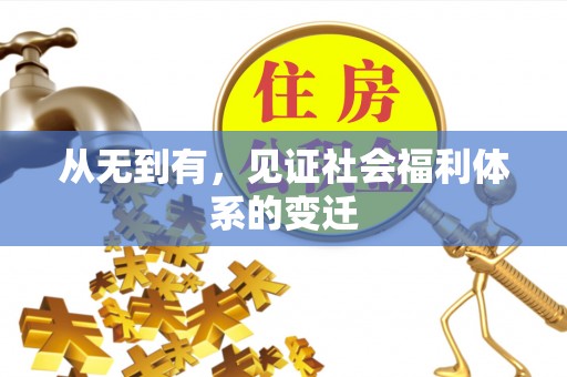 金平从无到有，见证社会福利体系的变迁