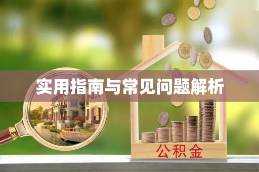 金平实用指南与常见问题解析