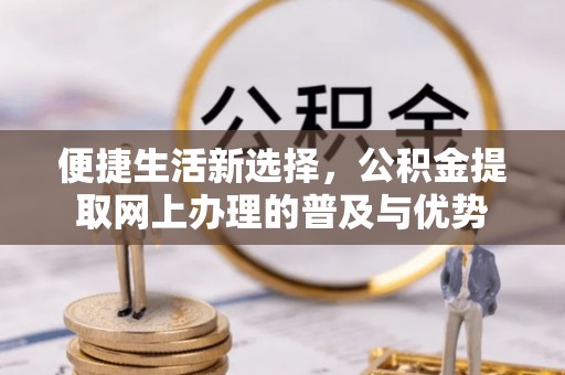 金平便捷生活新选择，公积金提取网上办理的普及与优势