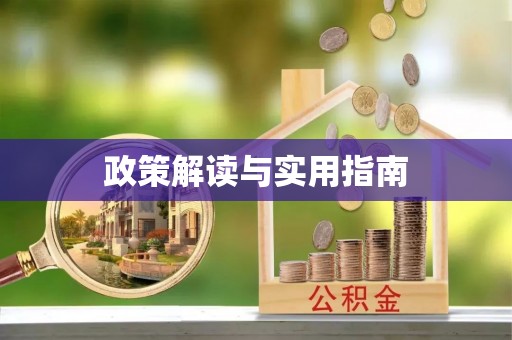 金平政策解读与实用指南