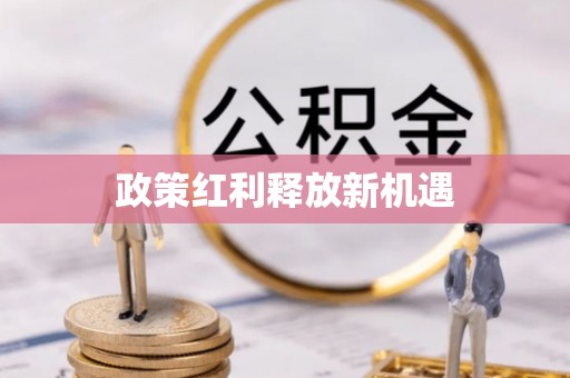 金平政策红利释放新机遇