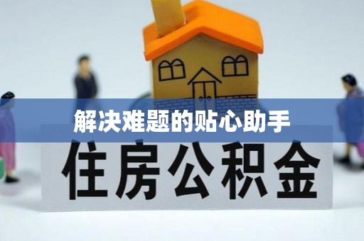 金平解决难题的贴心助手