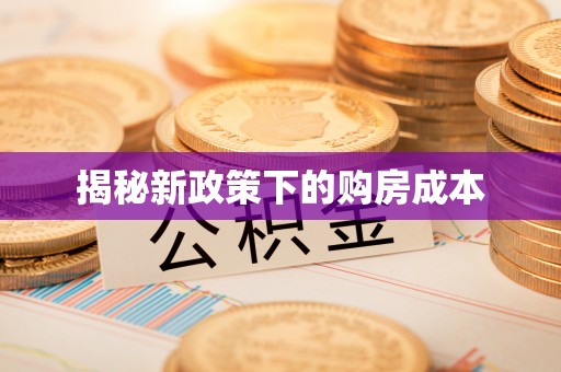 金平揭秘新政策下的购房成本