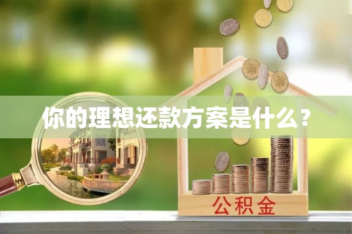 金平你的理想还款方案是什么？