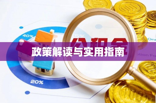 金平政策解读与实用指南