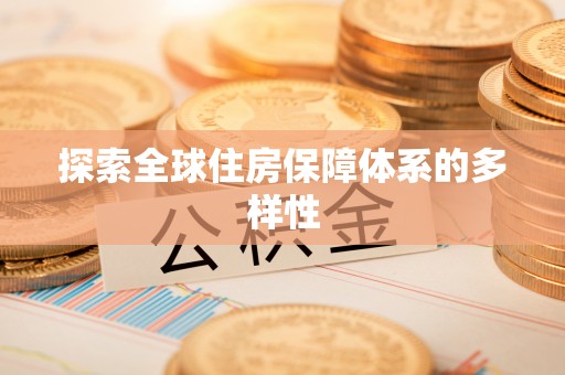 金平探索全球住房保障体系的多样性
