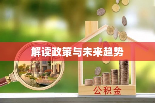 金平解读政策与未来趋势