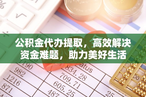 金平公积金代办提取，高效解决资金难题，助力美好生活