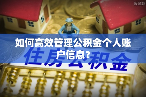 金平如何高效管理公积金个人账户信息？