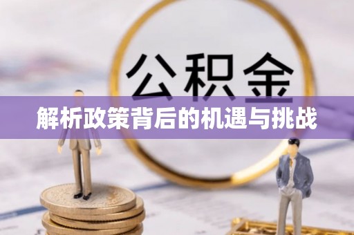 金平解析政策背后的机遇与挑战