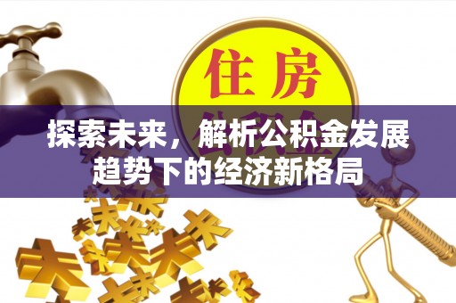 金平探索未来，解析公积金发展趋势下的经济新格局