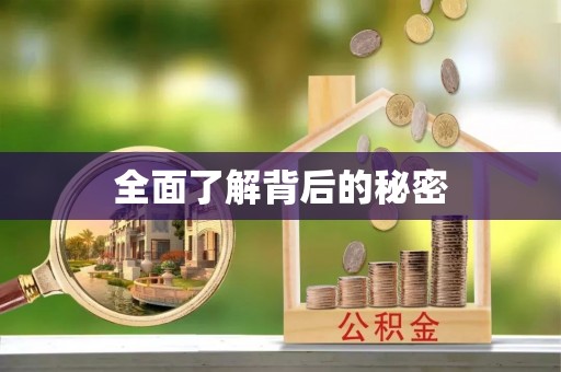 金平全面了解背后的秘密