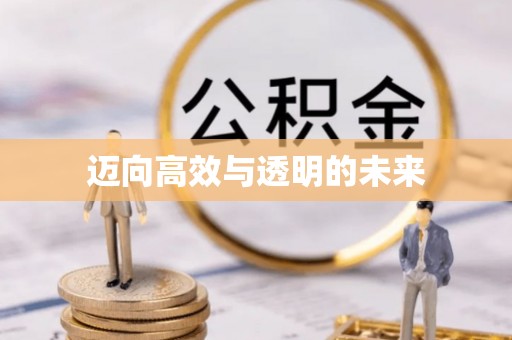 金平迈向高效与透明的未来