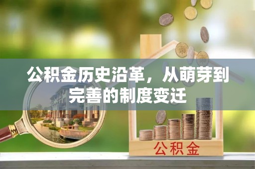 金平公积金历史沿革，从萌芽到完善的制度变迁
