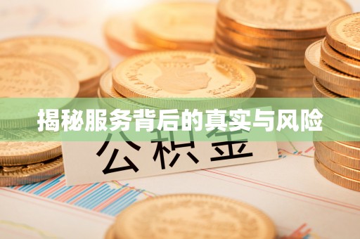 金平揭秘服务背后的真实与风险