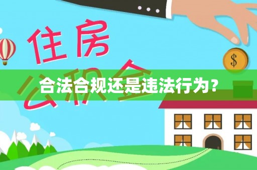 金平合法合规还是违法行为？