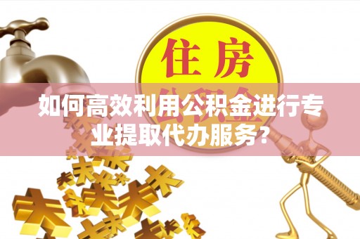 金平如何高效利用公积金进行专业提取代办服务？