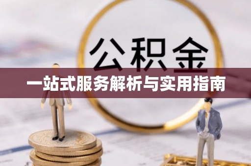金平一站式服务解析与实用指南