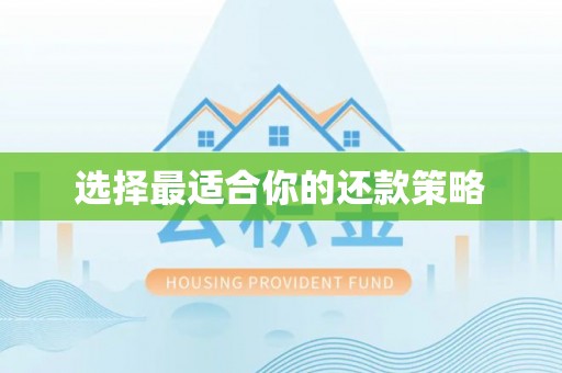 金平选择最适合你的还款策略