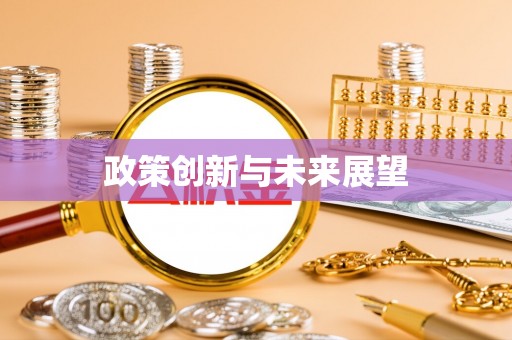 金平政策创新与未来展望