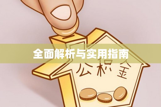 金平全面解析与实用指南
