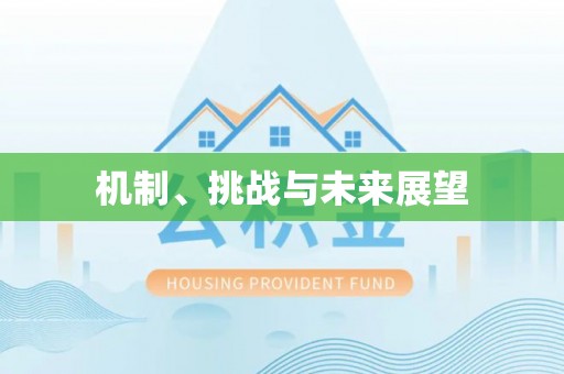 金平机制、挑战与未来展望